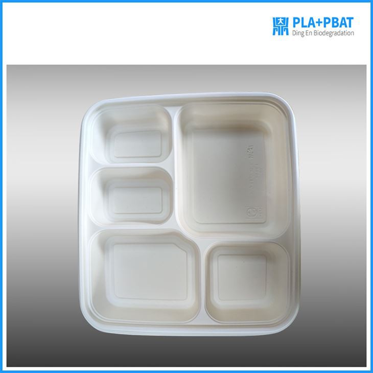 A Lot of Compartments Food Container