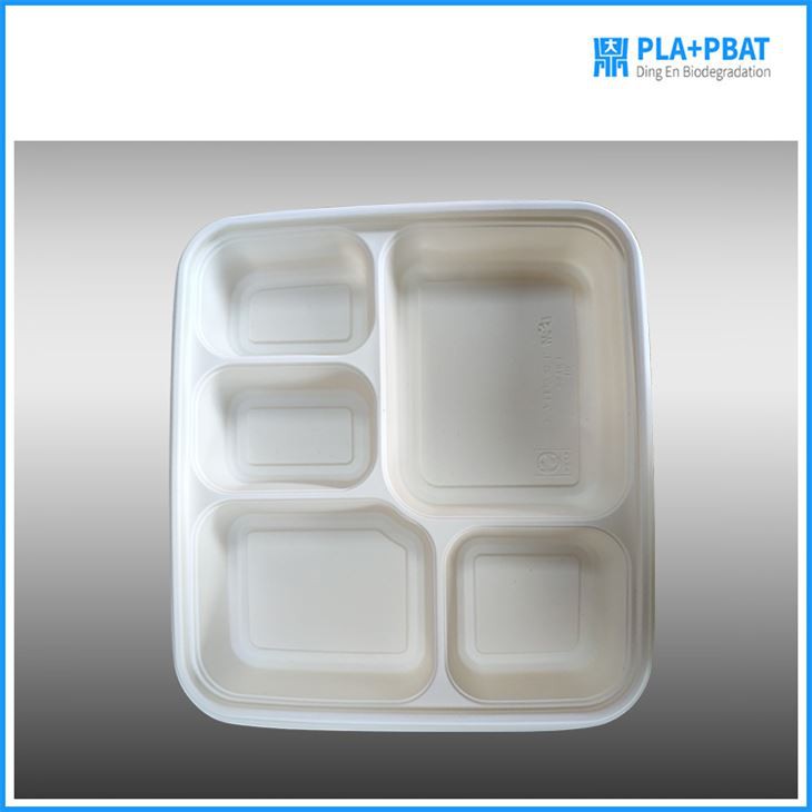 A Lot of Compartments Food Container
