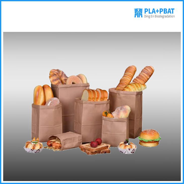 Biodegradable Brown Kraft Paper Bag for Food