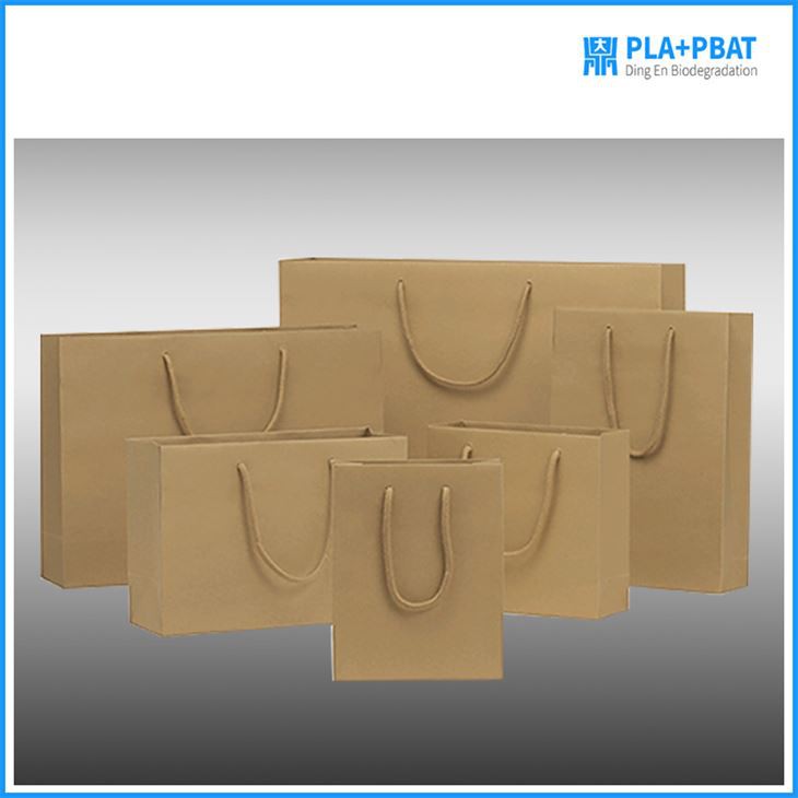 Biodegradable Brown Paper Bag