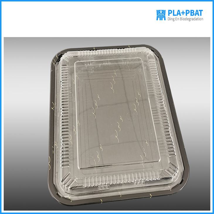 Biodegradable Quadrate Take-out Box